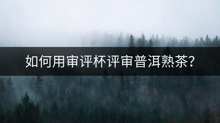 如何用審評杯評審普洱熟茶？