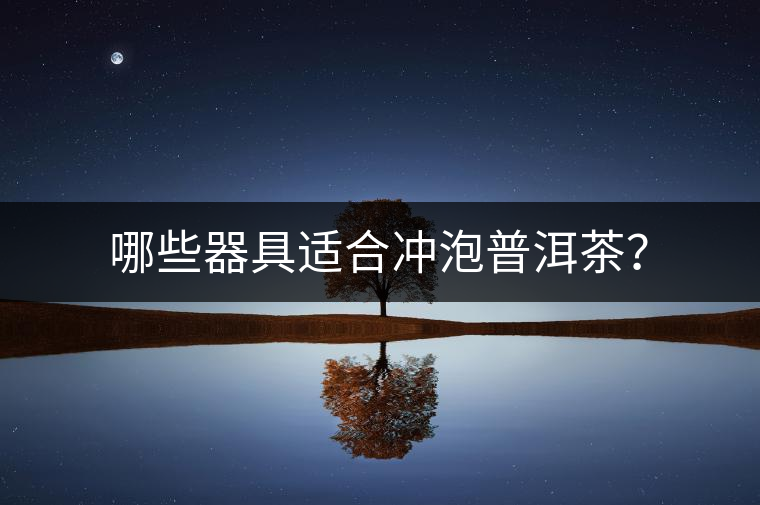 哪些器具適合沖泡普洱茶？