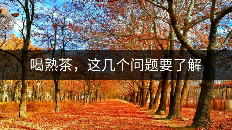 喝熟茶，這幾個(gè)問題要了解