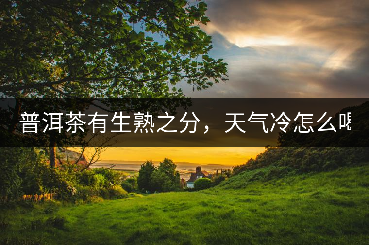 普洱茶有生熟之分，天氣冷怎么喝？