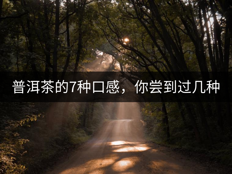 普洱茶的7種口感，你嘗到過(guò)幾種？