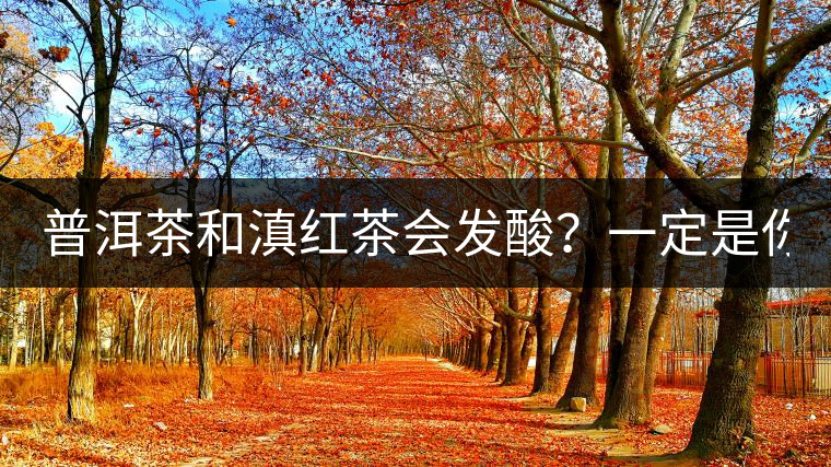 普洱茶和滇紅茶會發(fā)酸？一定是你這么做了！