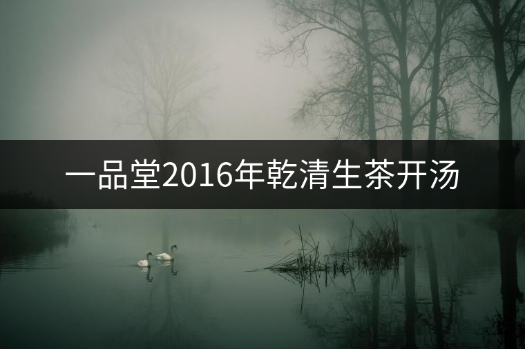 一品堂2016年乾清生茶開湯