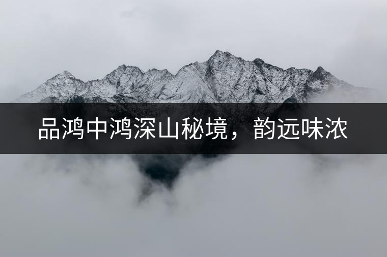品鴻中鴻深山秘境，韻遠味濃