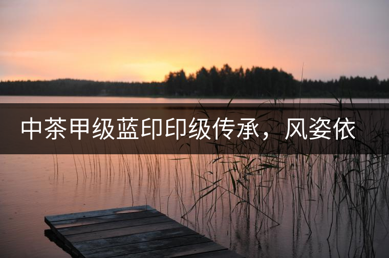 中茶甲級藍印印級傳承，風姿依舊