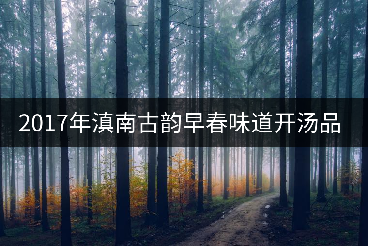 2017年滇南古韻早春味道開(kāi)湯品鑒