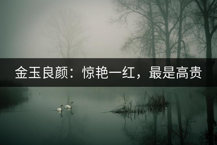金玉良顏：驚艷一紅，最是高貴