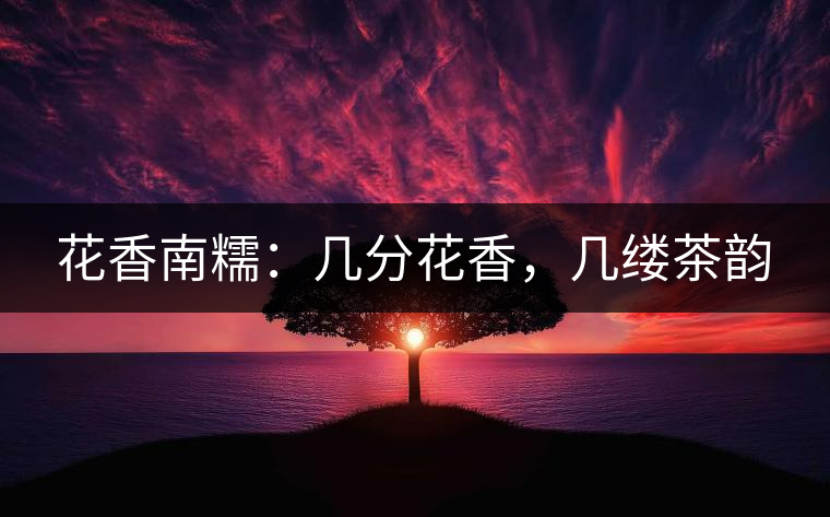 花香南糯：幾分花香，幾縷茶韻