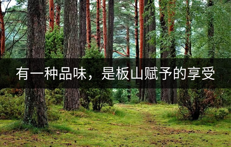 有一種品味，是板山賦予的享受