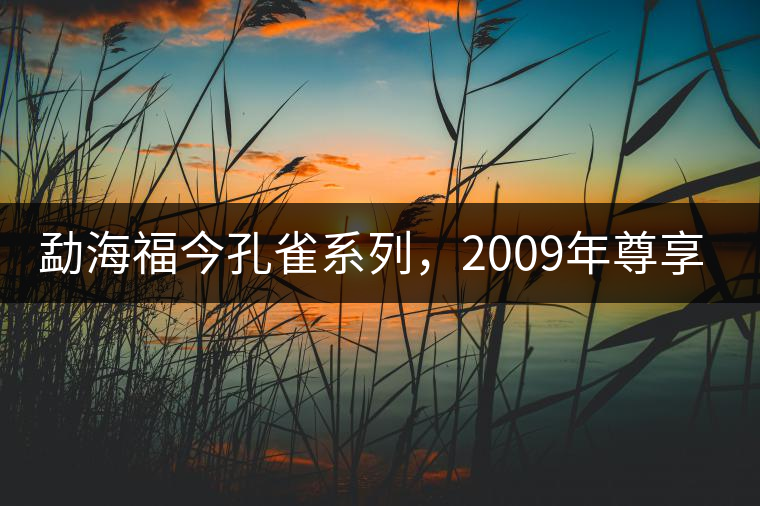 勐海福今孔雀系列，2009年尊享青餅