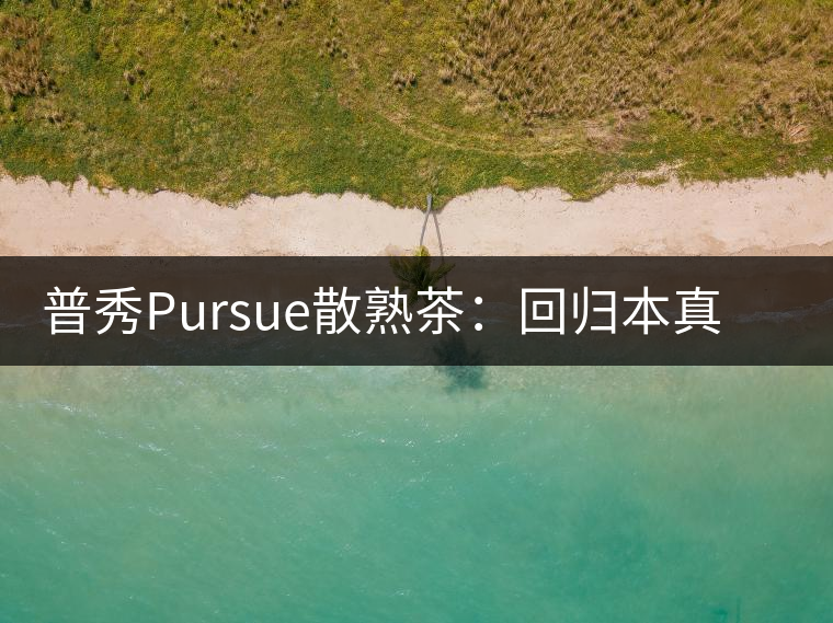 普秀Pursue散熟茶：回歸本真，一款高性價比口糧散熟茶