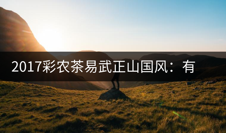 2017彩農(nóng)茶易武正山國風(fēng)：有茶韻，亦有國風(fēng)