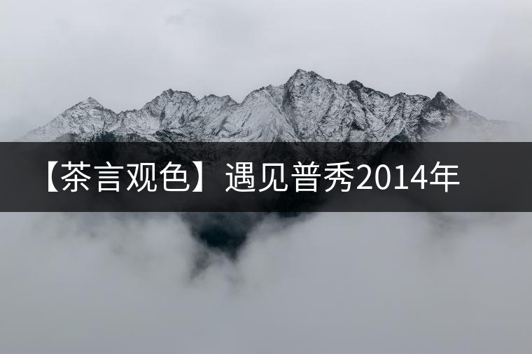 【茶言觀色】遇見普秀2014年金地茶磚