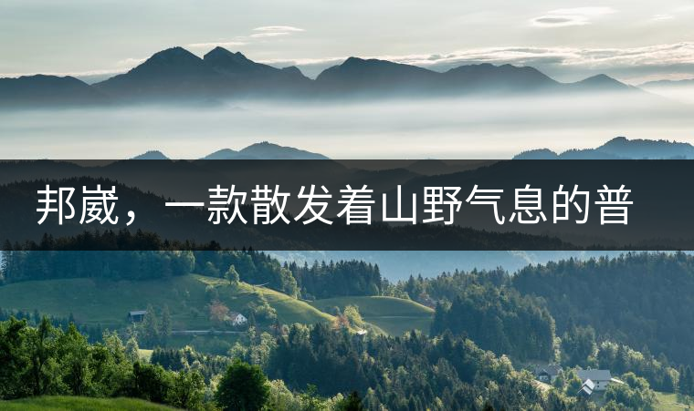 邦崴，一款散發(fā)著山野氣息的普洱