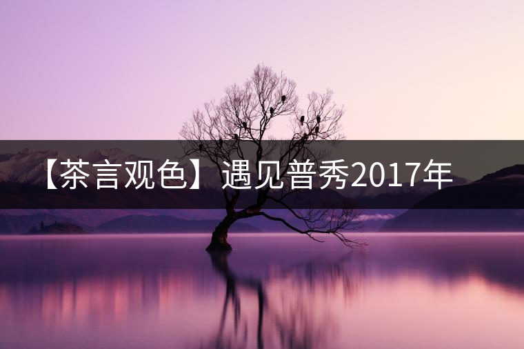 【茶言觀色】遇見(jiàn)普秀2017年甲級(jí)沱茶