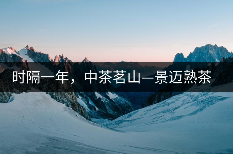 時(shí)隔一年，中茶茗山—景邁熟茶有哪些變化