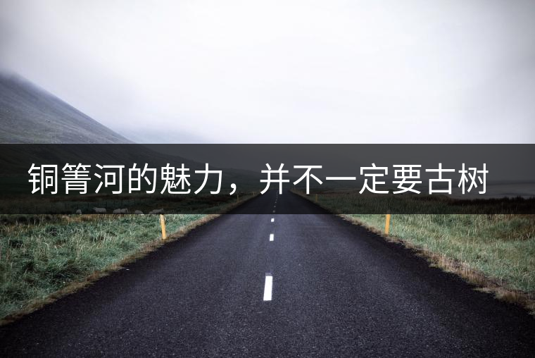 銅箐河的魅力，并不一定要古樹來體現(xiàn)