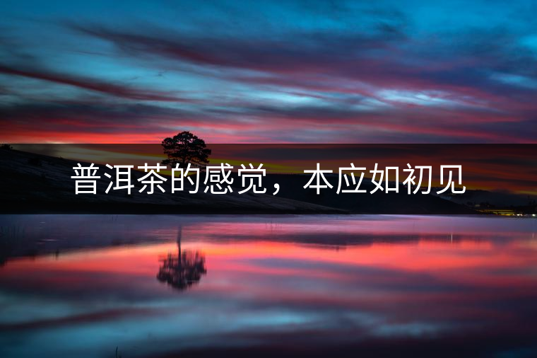 普洱茶的感覺，本應如初見