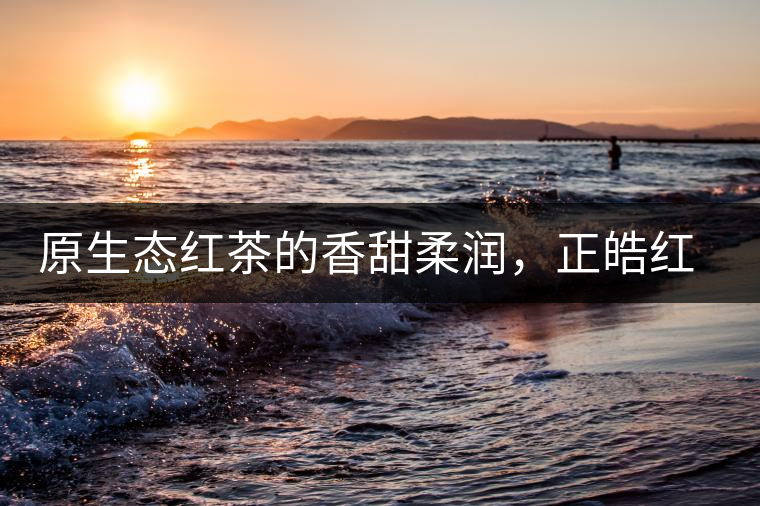原生態(tài)紅茶的香甜柔潤(rùn)，正皓紅的魅力無可抵擋！