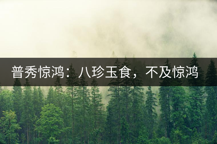 普秀驚鴻：八珍玉食，不及驚鴻一湯
