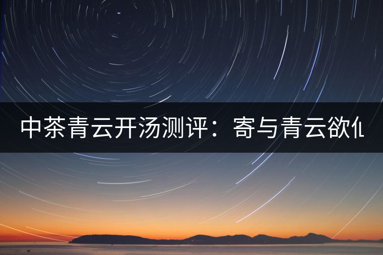 中茶青云開湯測評(píng):寄與青云欲仙客 一甌相映兩無塵 中茶青云開湯測評(píng):寄與青云欲仙客 一甌相映兩無塵