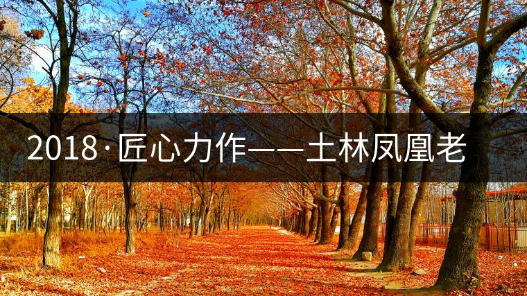 2018·匠心力作——土林鳳凰老茶頭古樹(shù)磚茶