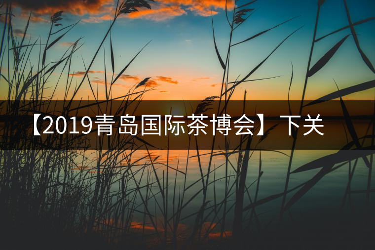 【2019青島國際茶博會】下關(guān)沱茶攜新品C位亮相！