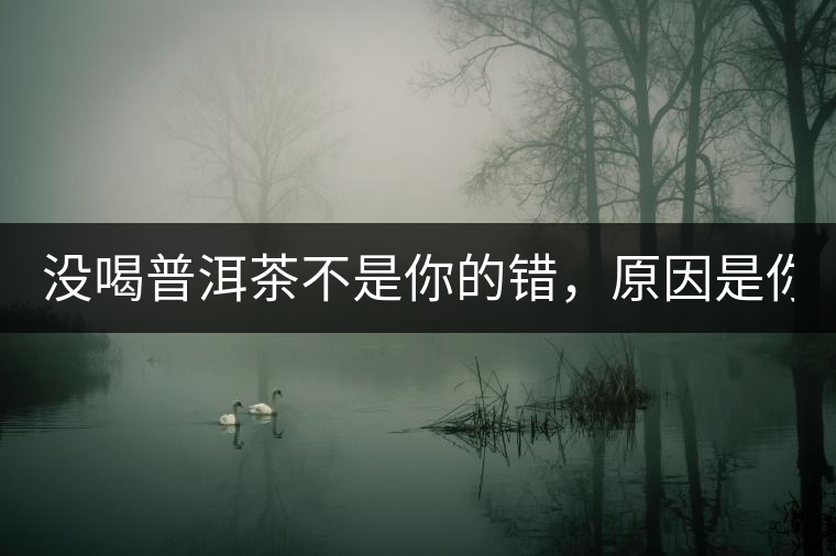 沒喝普洱茶不是你的錯，原因是你還沒遇到Y(jié)671與Y562