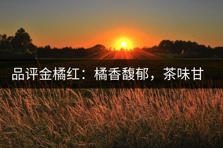 品評金橘紅：橘香馥郁，茶味甘醇，匠心拼配，臻于至善