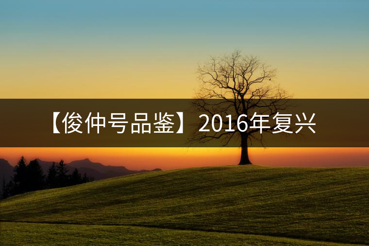 【俊仲號(hào)品鑒】2016年復(fù)興 【俊仲號(hào)品鑒】2016年復(fù)興