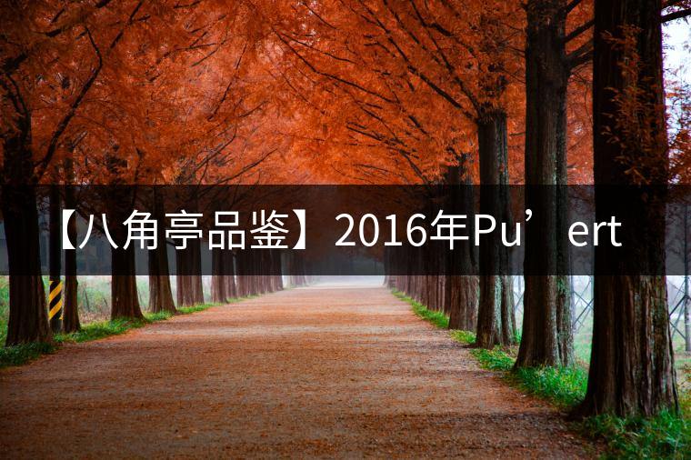 【八角亭品鑒】2016年P(guān)u’ertea