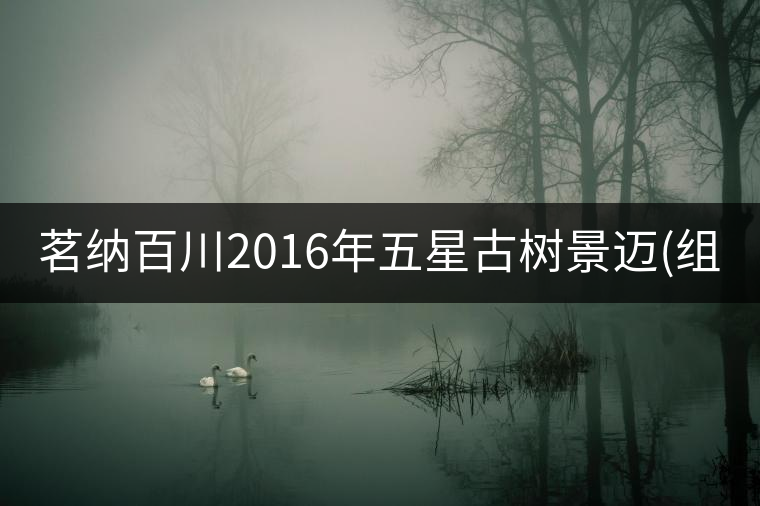 茗納百川2016年五星古樹景邁(組圖) 茗納百川2016年五星古樹景邁(組圖)