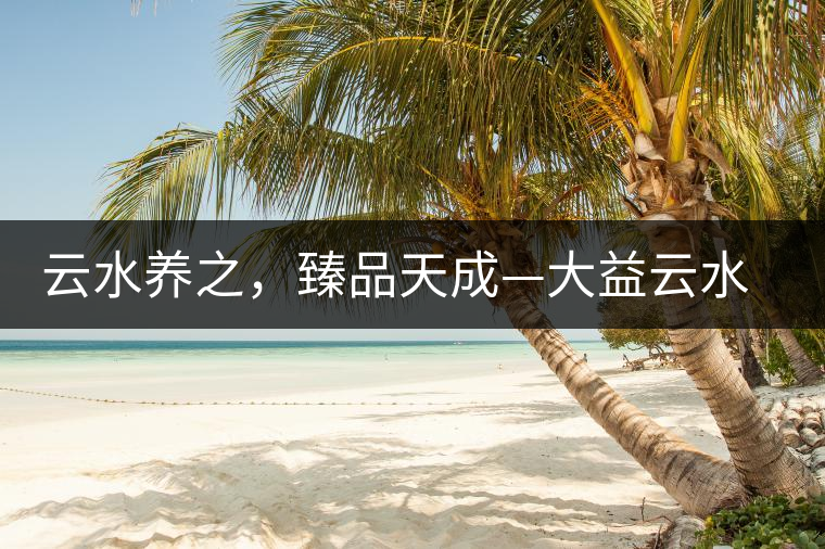 云水養(yǎng)之，臻品天成—大益云水臻開湯