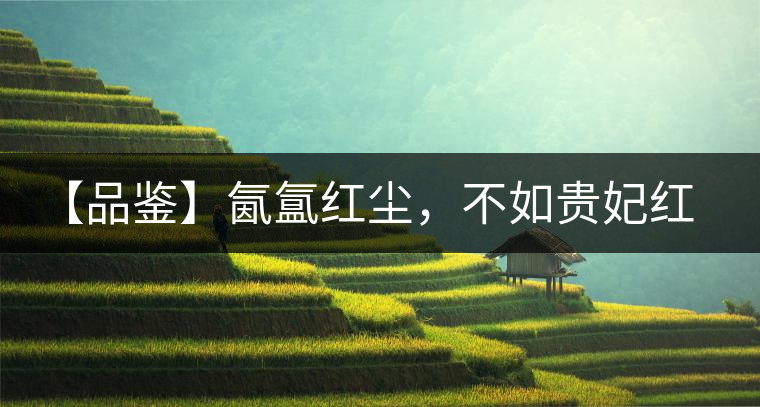 【品鑒】氤氳紅塵，不如貴妃紅一盞