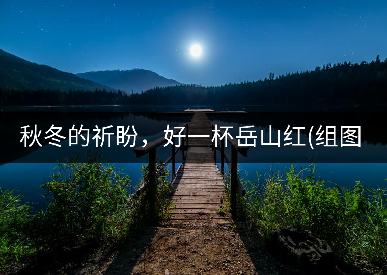 秋冬的祈盼，好一杯岳山紅(組圖)