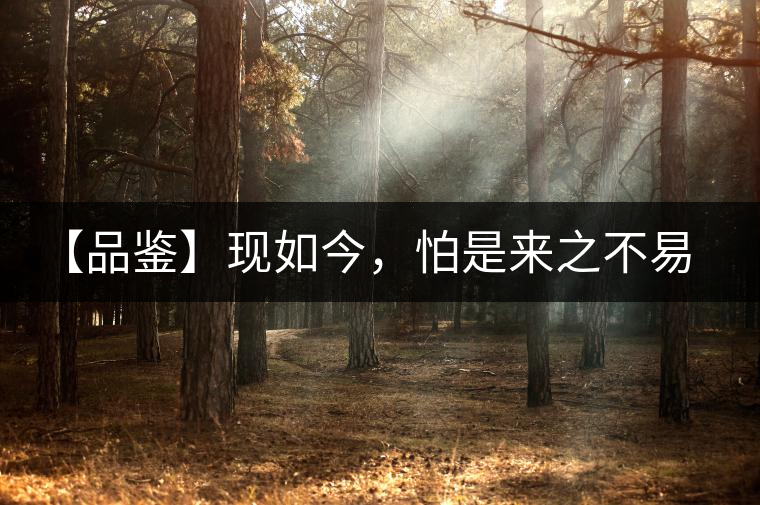 【品鑒】現如今，怕是來之不易的純濮