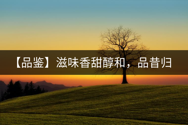 【品鑒】滋味香甜醇和，品昔歸古樹黃片