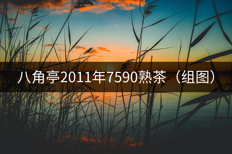 八角亭2011年7590熟茶(組圖) 八角亭2011年7590熟茶(組圖)