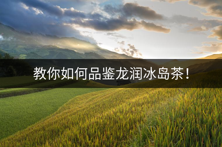 教你如何品鑒龍潤冰島茶！