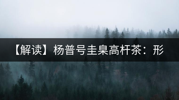 【解讀】楊普號圭臬高桿茶：形高、氣足、韻遠的一款茶