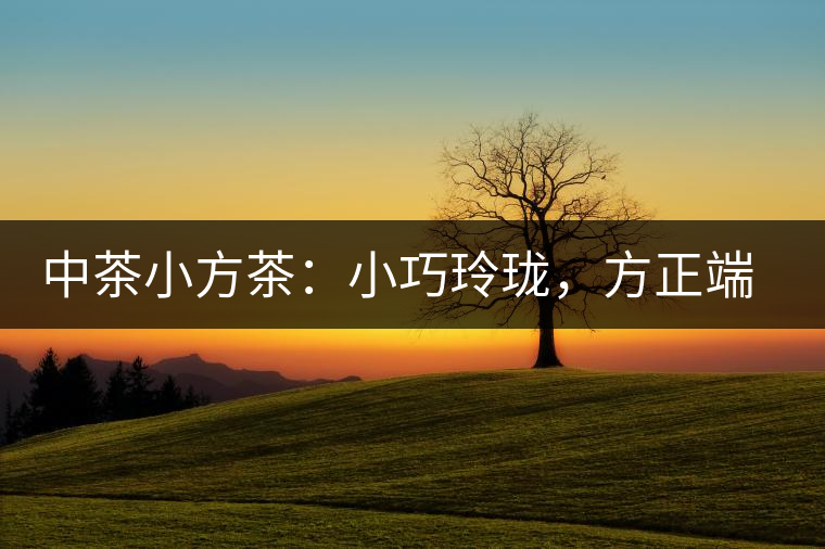 中茶小方茶：小巧玲瓏，方正端莊