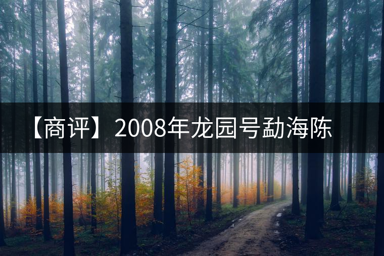 【商評】2008年龍園號勐海陳香熟磚