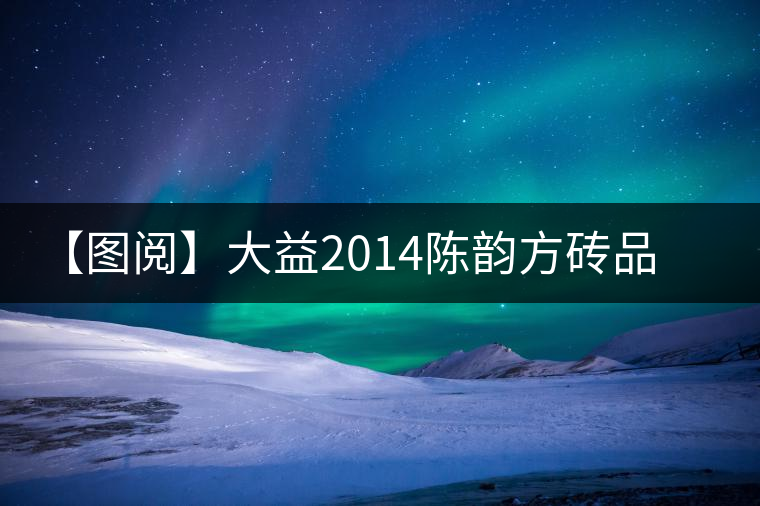 【圖閱】大益2014陳韻方磚品評 【圖閱】大益2014陳韻方磚品評