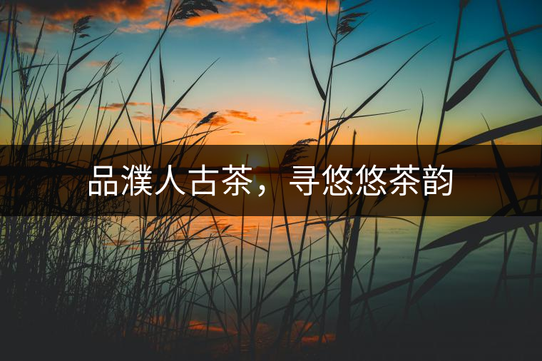 品濮人古茶，尋悠悠茶韻