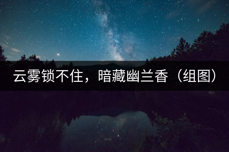 云霧鎖不住，暗藏幽蘭香（組圖）