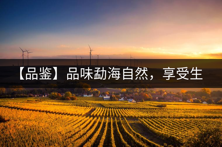 【品鑒】品味勐海自然，享受生活醇香