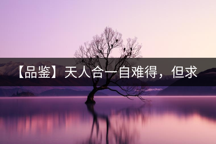 【品鑒】天人合一自難得，但求得茶之本味