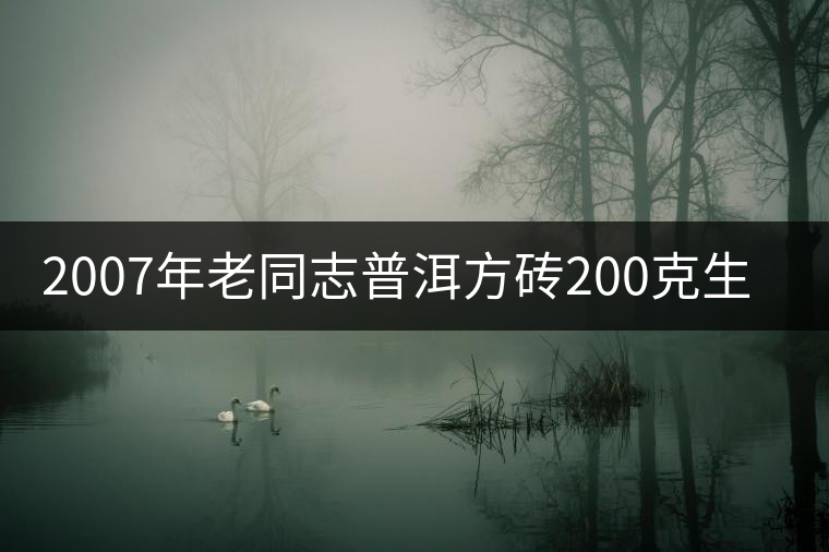 2007年老同志普洱方磚200克生茶開湯