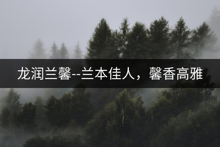 龍潤(rùn)蘭馨--蘭本佳人，馨香高雅