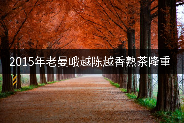 2015年老曼峨越陳越香熟茶隆重上市！